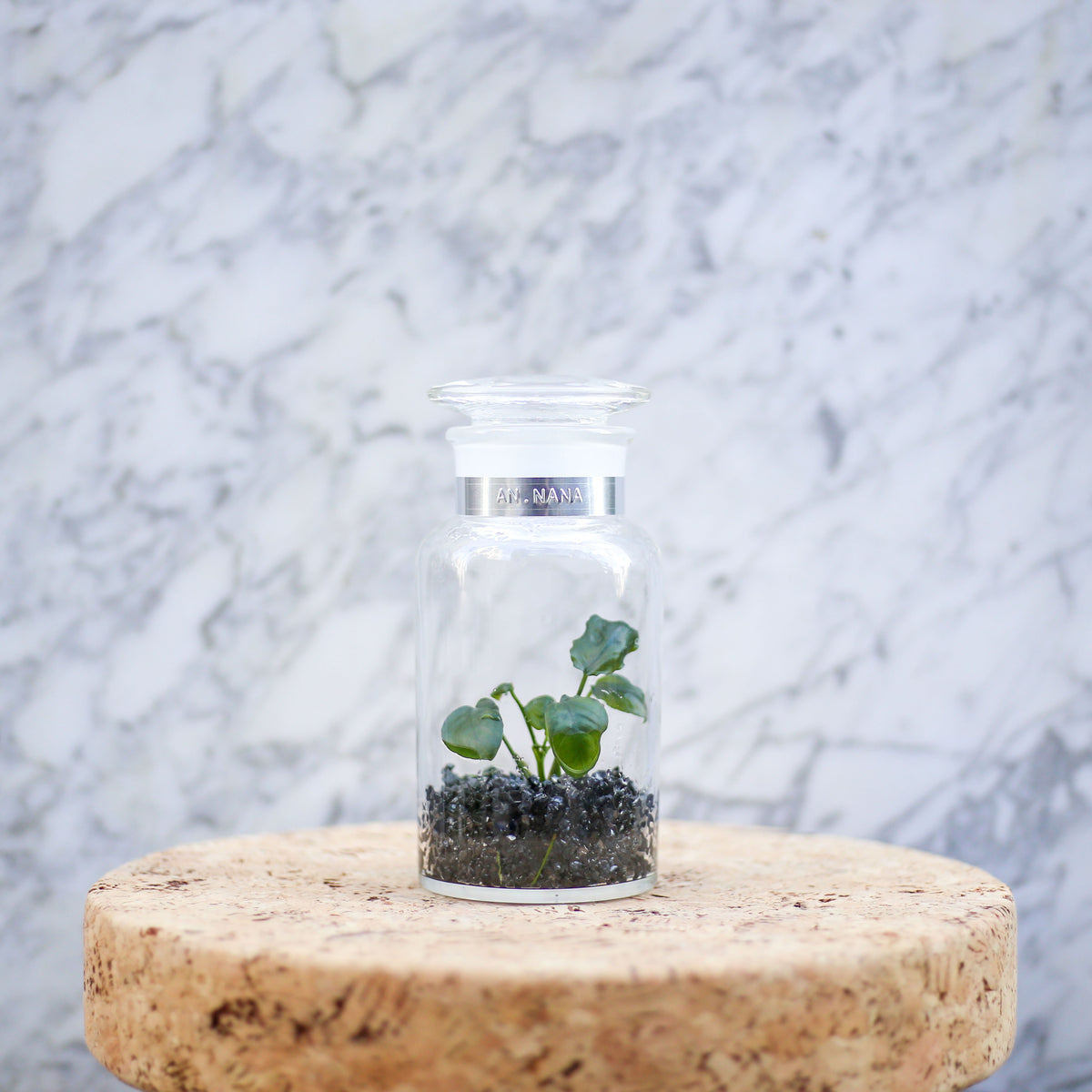 nana出品 BOTTLE KIT by BOTANIST 500ml AN.NANA MINI – BOTANIST SHOP