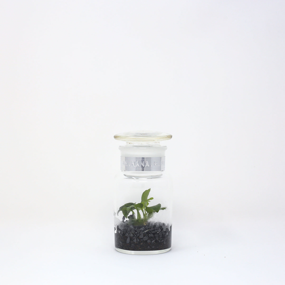 BOTTLE KIT by BOTANIST 120ml AN.NANA MINI – BOTANIST SHOP